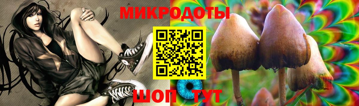 Галлюциногенные грибы Psilocybine cubensis Бахчисарай